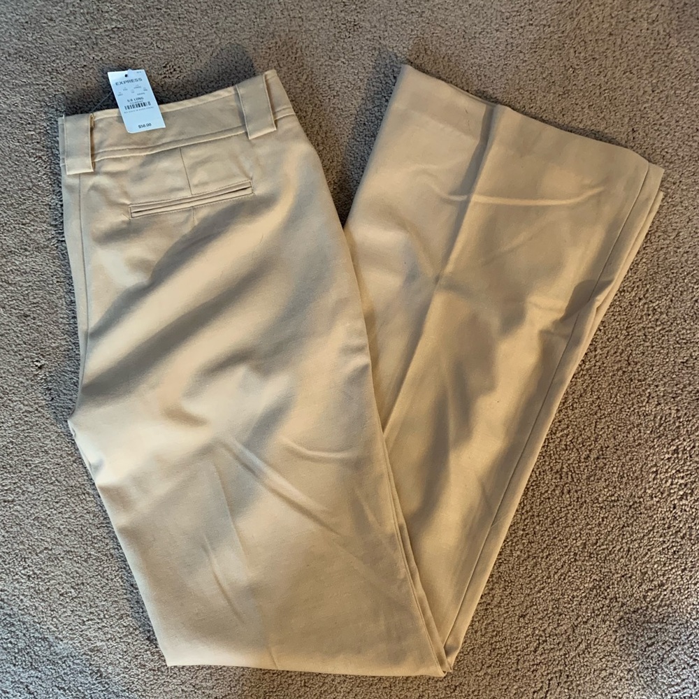 Express pants